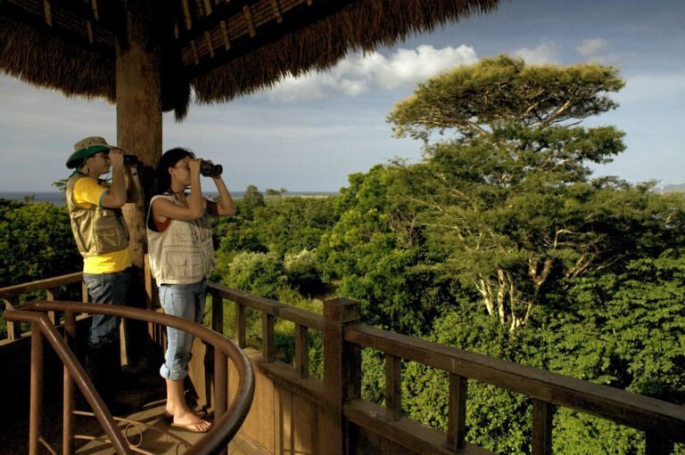 Bird Watching Tour – West Bali National Park