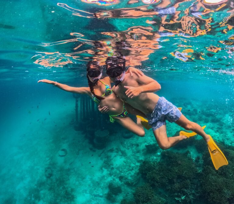 Snorkeling Tour – Menjangan Island