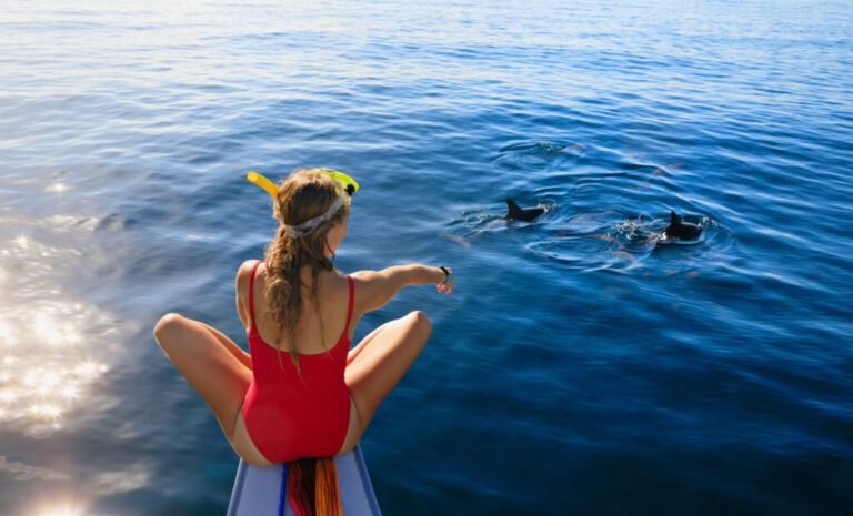 Dolphin Tour – Pemuteran & Lovina