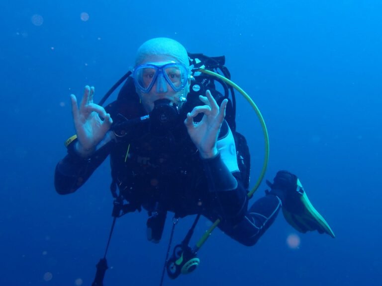 Menjangan Island Diving Tour